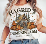 Impression // Hagrid pumpkin farm